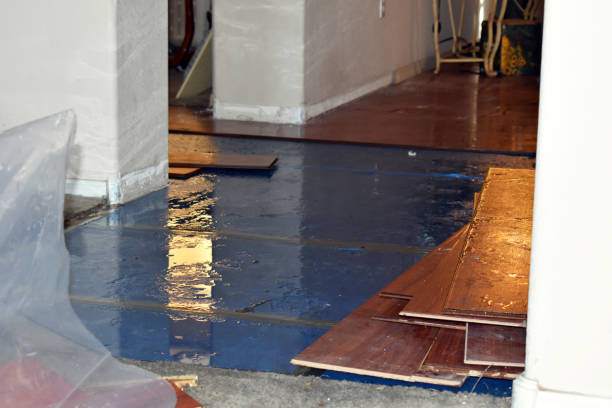 Professional Sewage Cleanup technician working in Simla, CO